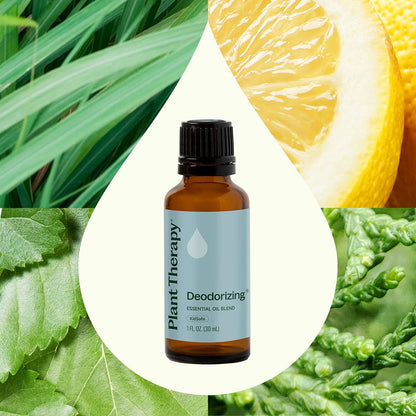 Plant Therapy Mezcla de aceites esenciales desodorizantes 30ml