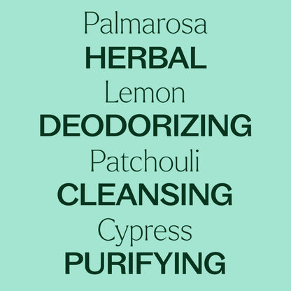 Plant Therapy Mezcla de aceites esenciales desodorizantes 30ml