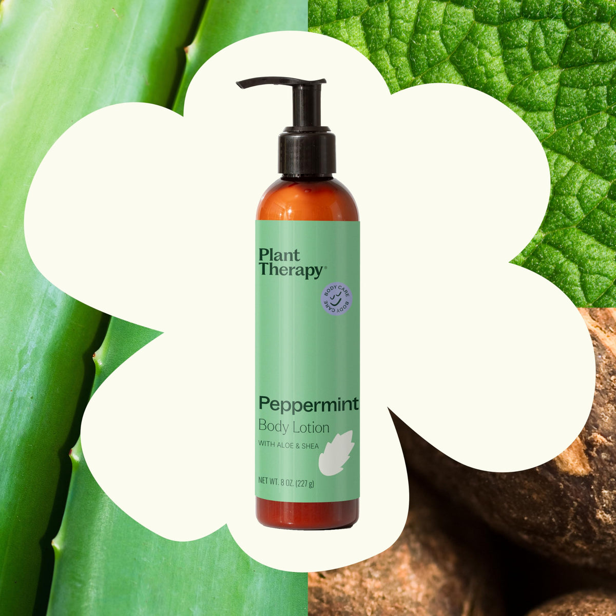 Plant Therapy Peppermint Body Lotion with Aloe & Shea — 8oz - Calm Era