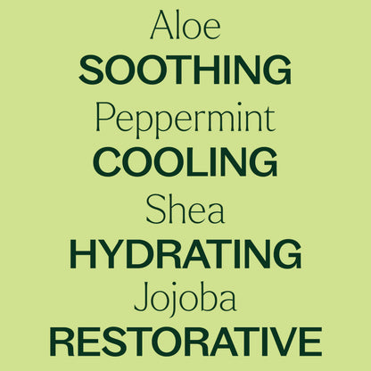 Plant Therapy Peppermint Body Lotion with Aloe & Shea — 8oz - Calm Era