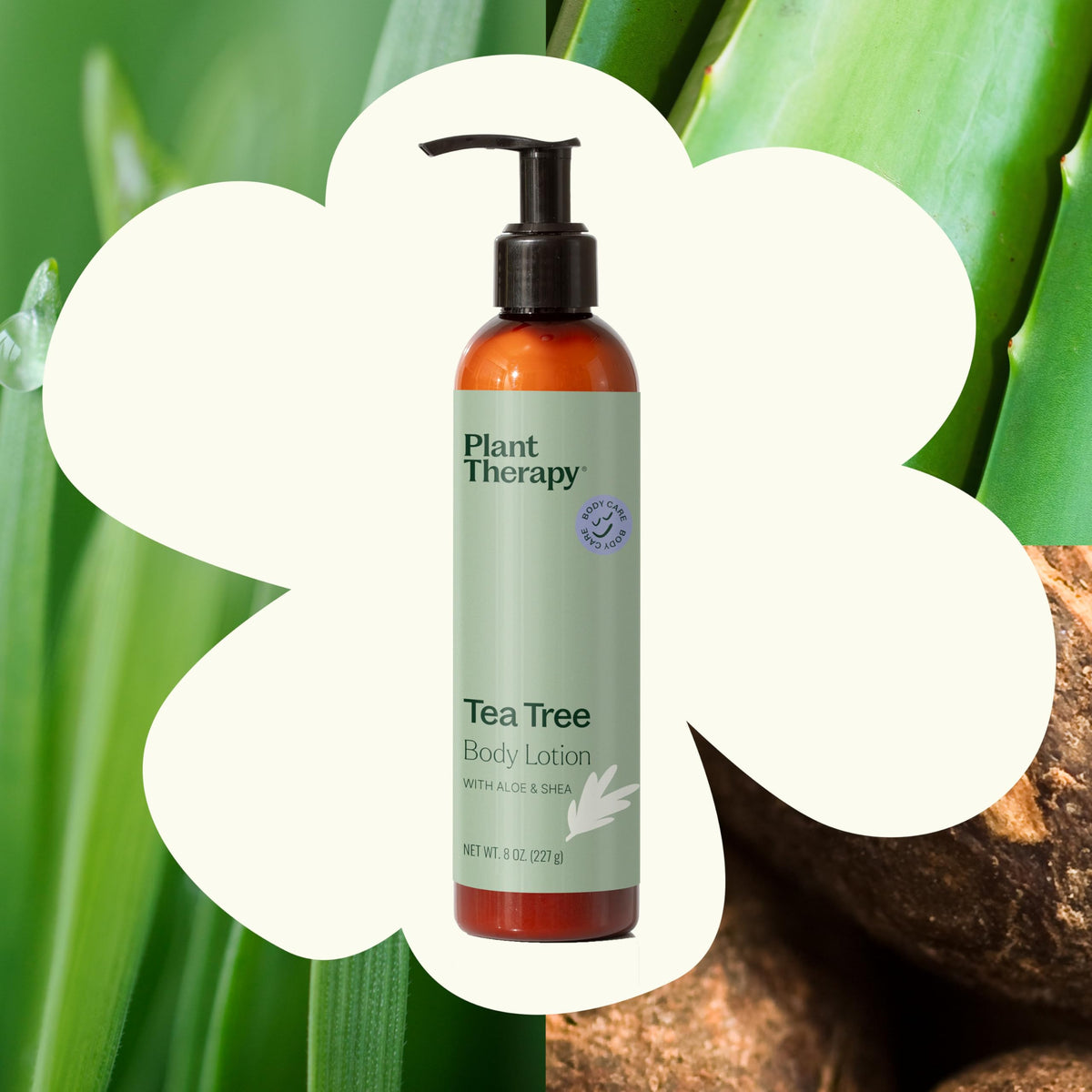Plant Therapy Tea Tree Body Lotion with Aloe & Shea — 8oz