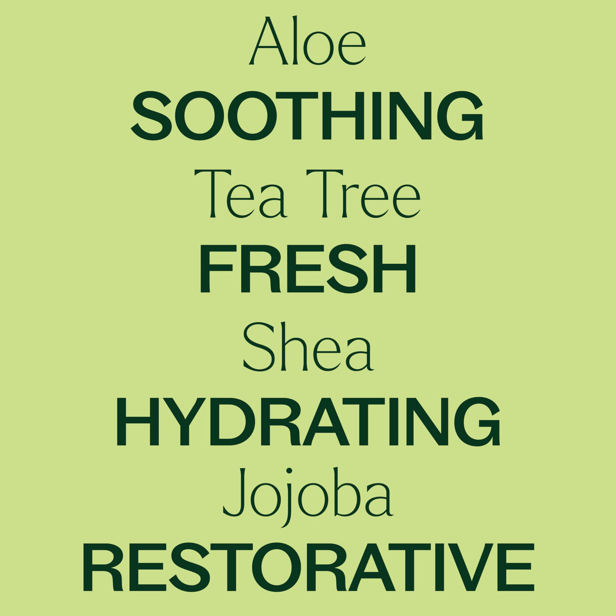 Plant Therapy Tea Tree Body Lotion with Aloe & Shea — 8oz