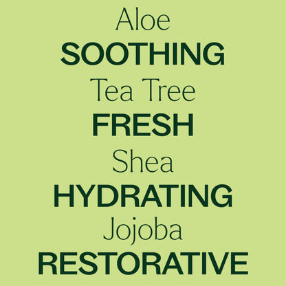 Plant Therapy Tea Tree Body Lotion with Aloe & Shea — 8oz