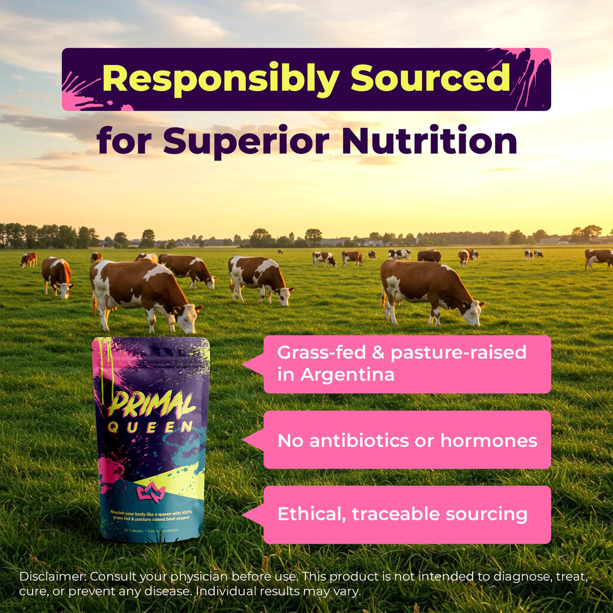 Primal Queen Female Beef Organ Supplement | Grass-Fed Freeze-Dried
