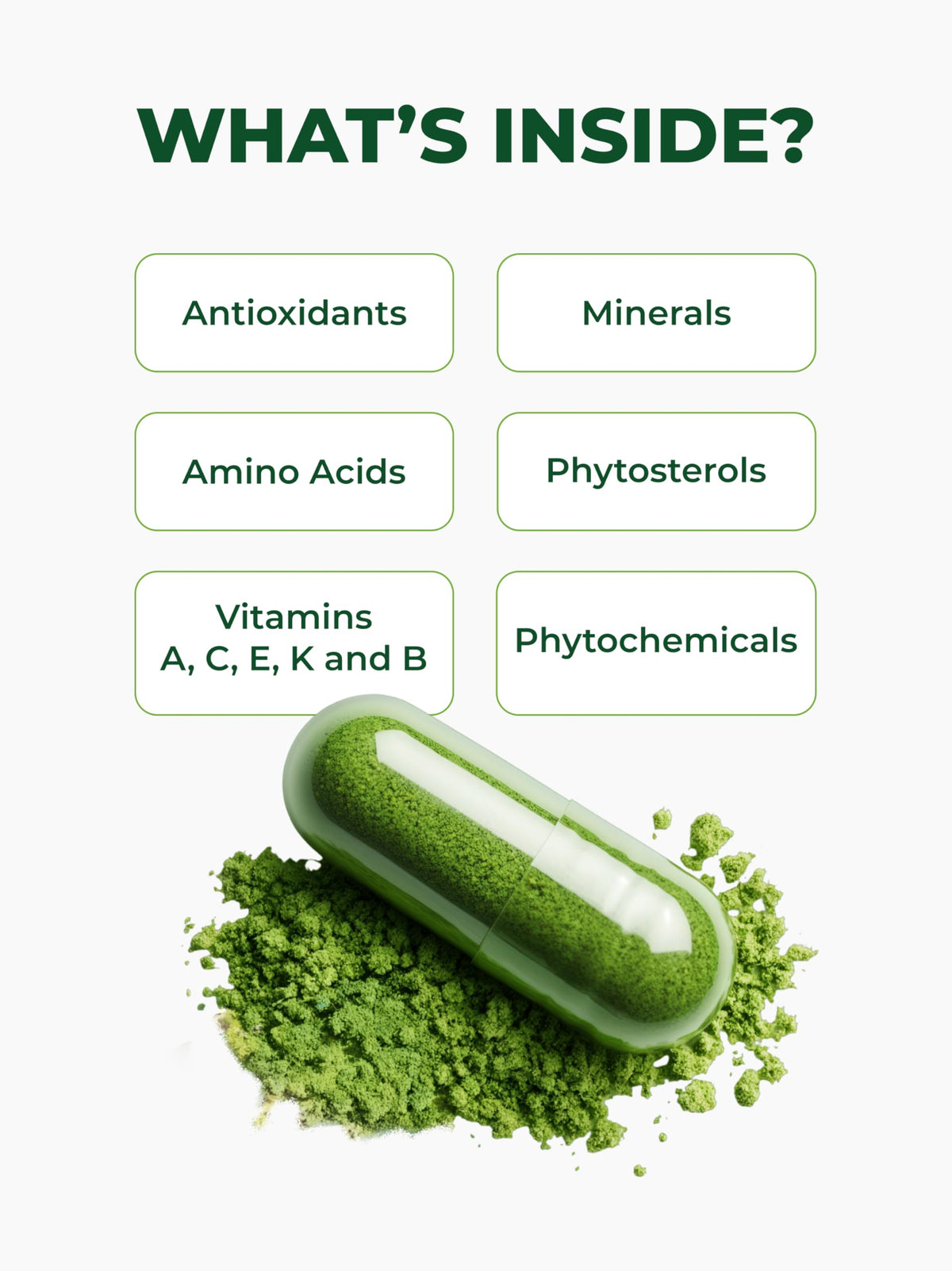 Pura Vida Cápsulas Orgánicas de Moringa 500mg | 120unidades Origen Único