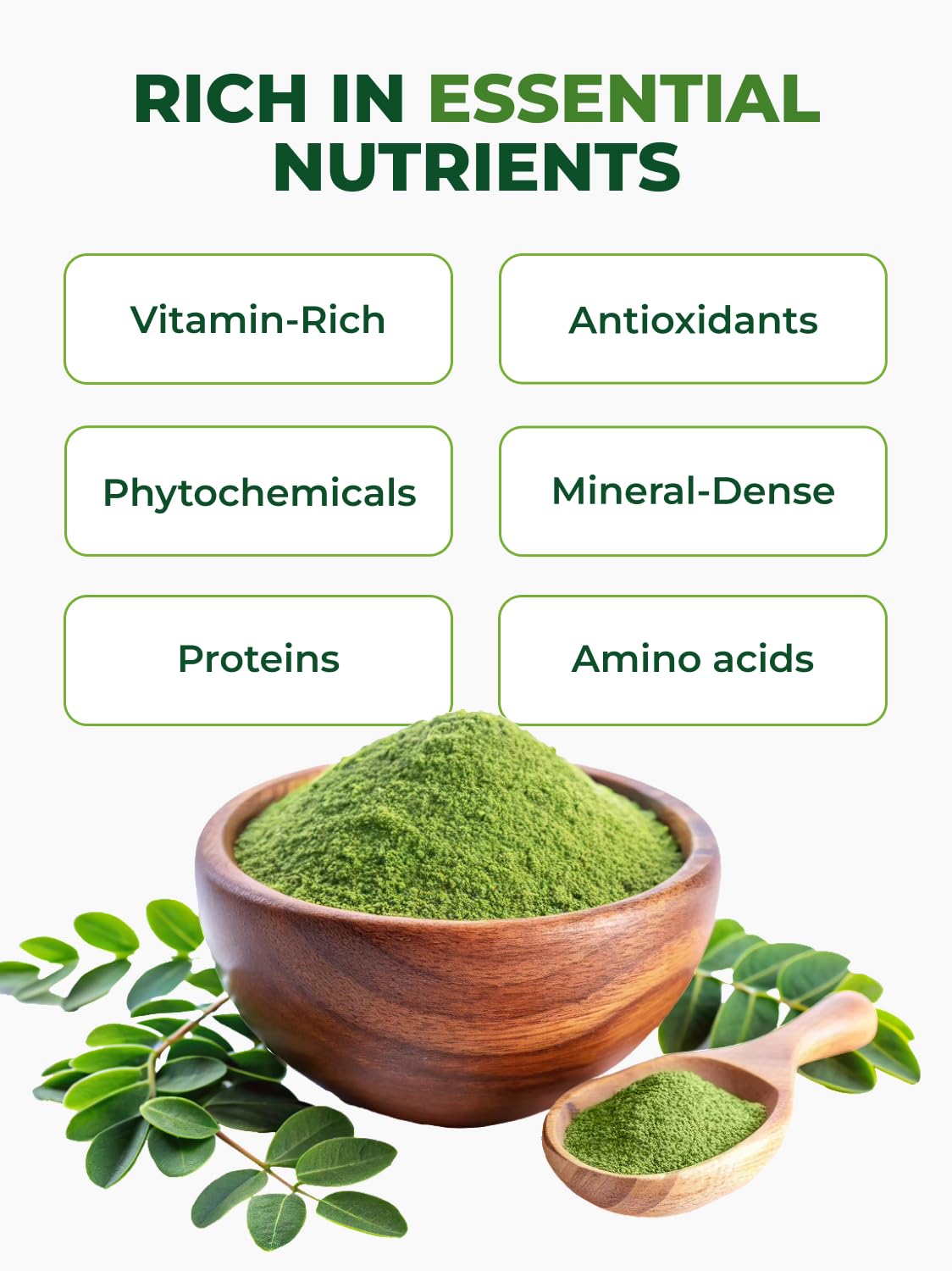 Pura Vida Organic Moringa en Polvo 8oz | Un Solo Origen Orgánico USDA