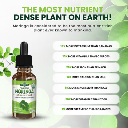 Pura Vida Gotas Líquidas de Extracto de Hoja de Moringa | Orgánico Certificado USDA Biodisponible
