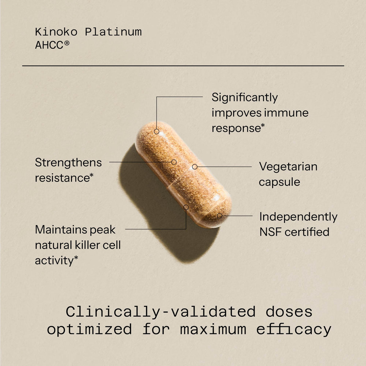 Quality of Life Kinoko Platinum AHCC 750mg – Immune Support & NK Cell Activity | 60 Veggie Capsules - Calm Era
