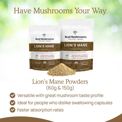 Real Mushrooms Lion's Mane Powder 150 Servings | Organic USDA Certified