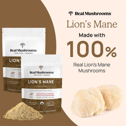 Real Mushrooms Lion's Mane Powder 150 Servings | Organic USDA Certified