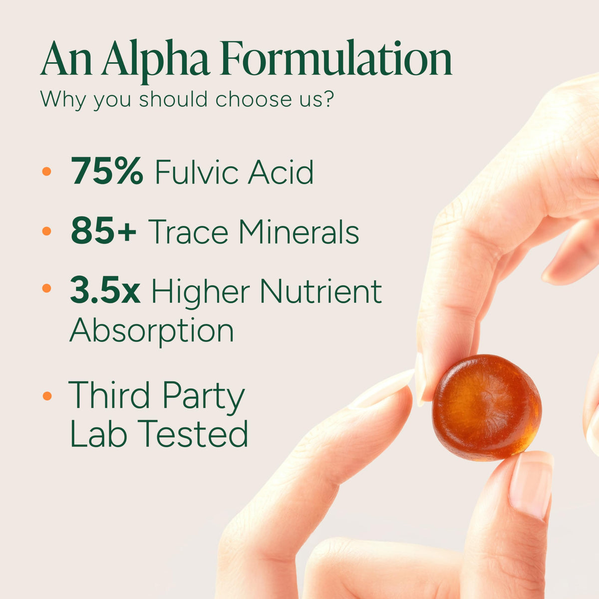 Gomitas de Shilajit Alpha 10 en 1 de ROOT LABS – 4000 mg, veganas y sin azúcar, paquete de 120 unidades