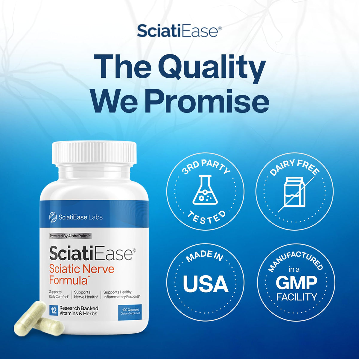 SciatiEase Nerve Comfort Supplement – 120 Capsules - Calm Era