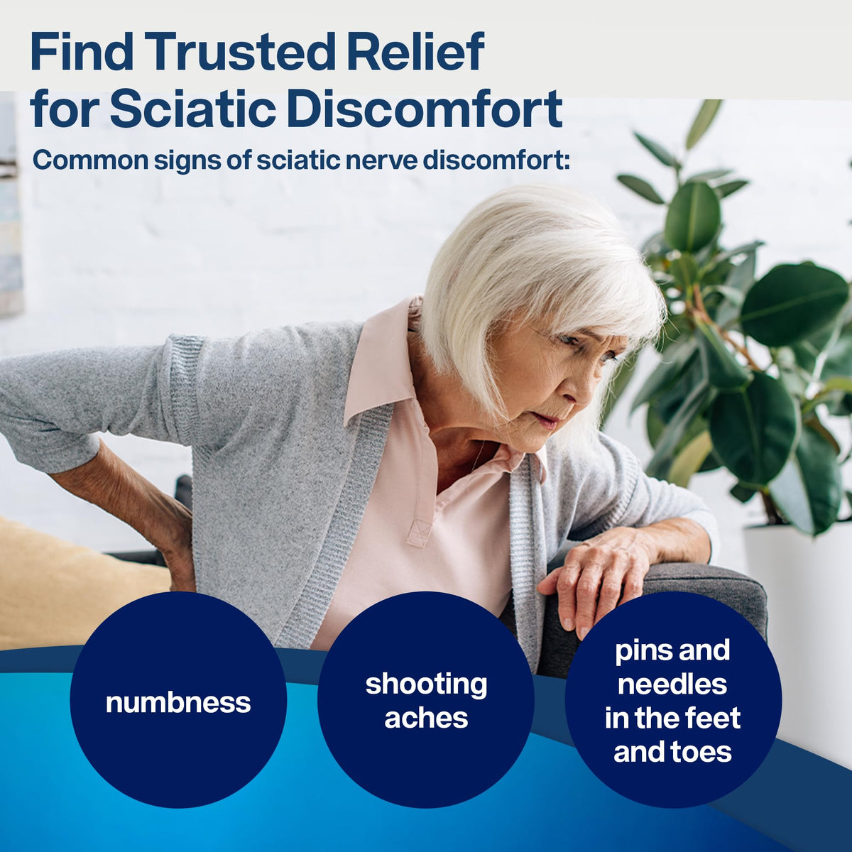 SciatiEase Nerve Comfort Supplement – 3 Bottle Bundle - Calm Era
