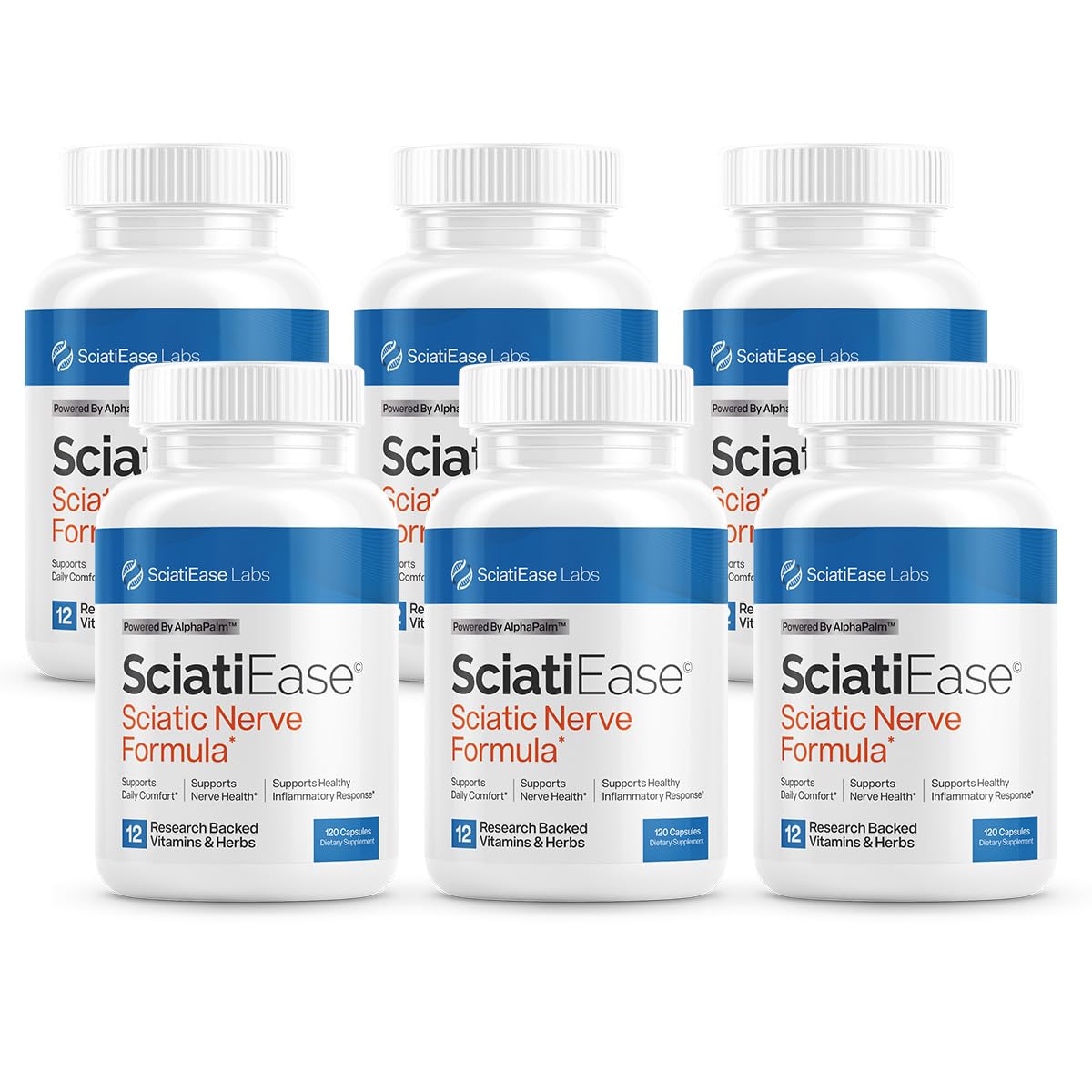 SciatiEase Nerve Comfort Supplement – 6 Bottle Bundle - Calm Era
