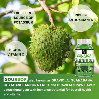 Soursop Graviola Gummies 2200mg — Sea Moss, Vitamin C & Zinc, 2 Pack - Calm Era