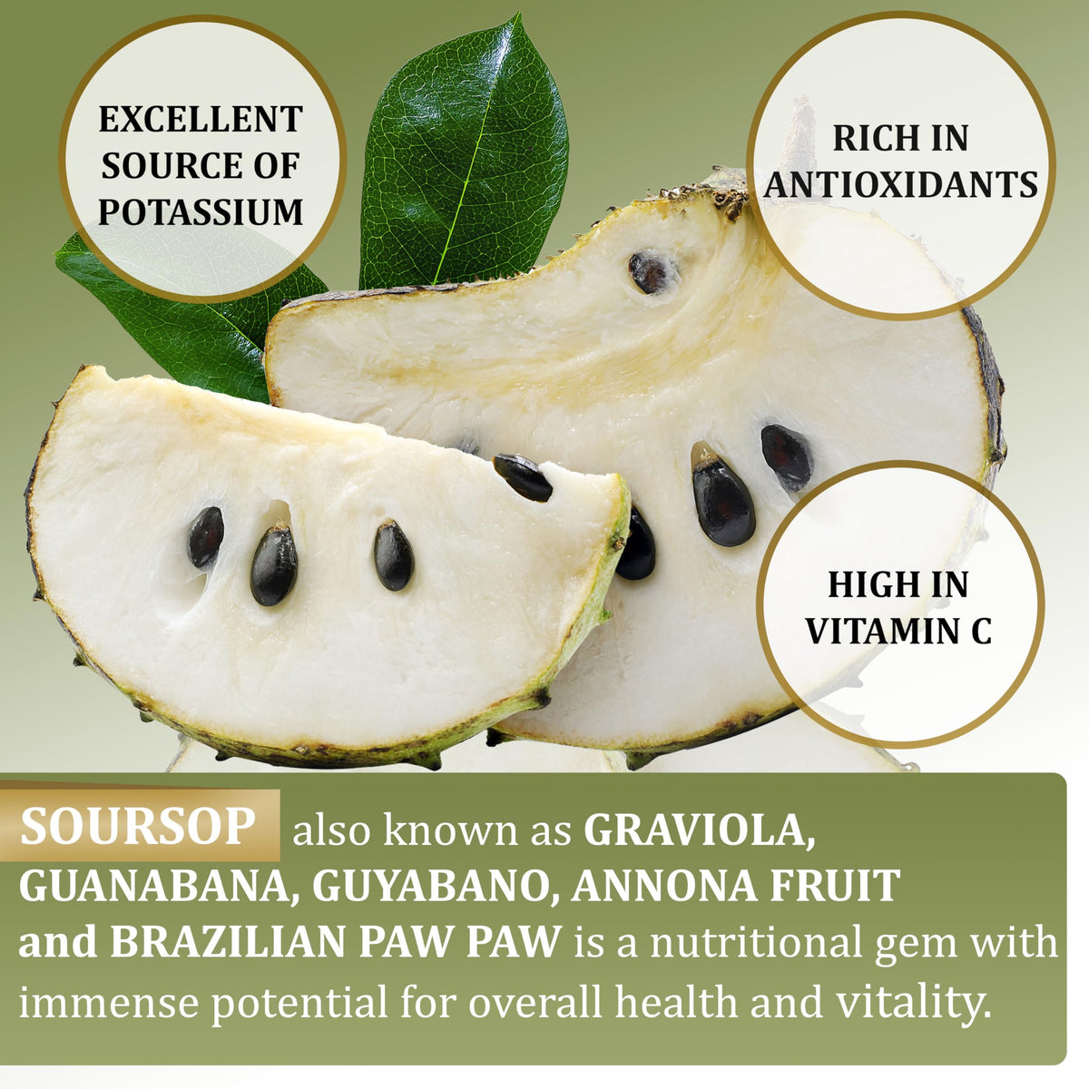 Soursop Graviola Gummies 3000mg — 2 Pack, 120 Count, Sugar-Free - Calm Era
