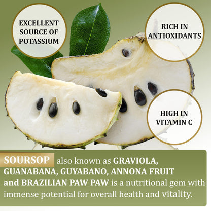 Soursop Graviola Gummies 3000mg with Vitamin C — 60 Count - Calm Era