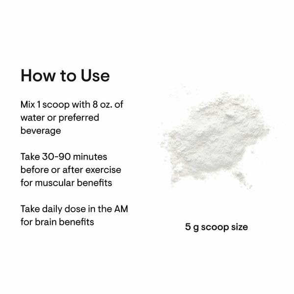 THORNE Creatine – Micronized Creatine Monohydrate Powder, 5 g Serving, 180 Servings, NSF Certified for Sport - Calm Era