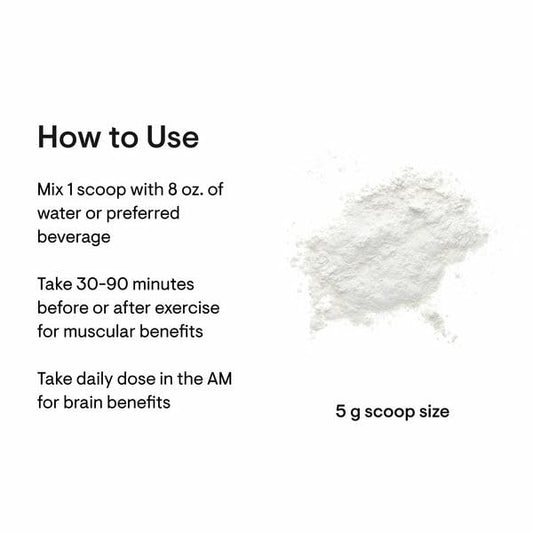 THORNE Creatine – Micronized Creatine Monohydrate Powder, 5 g Serving, 180 Servings, NSF Certified for Sport - Calm Era