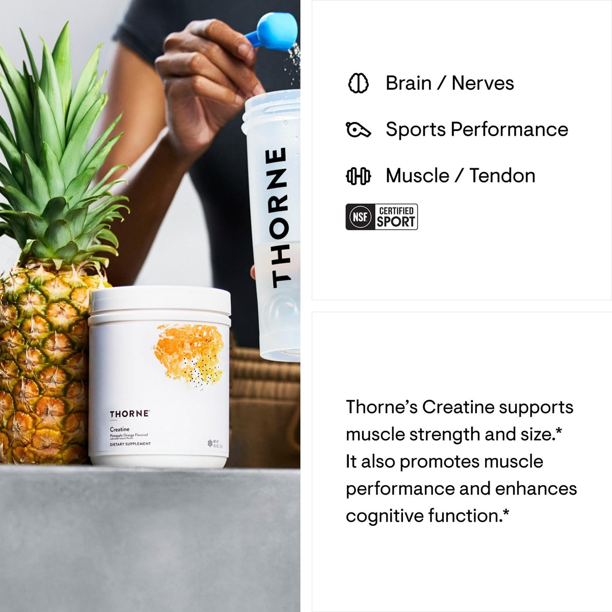 THORNE Creatine Monohydrate Powder – Pineapple Orange, 5 g/Serving, 60 Servings – NSF Certified for Sport - Calm Era