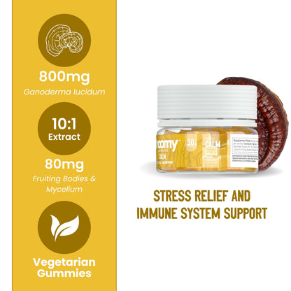 Troomy Reishi Calm Gummies — Pineapple Peach, 60ct