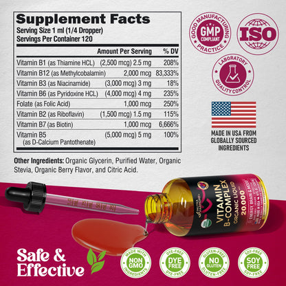 Complejo de Vitamina B Orgánico del USDA, Ácido Pantoténico B5 | B12 Metilcobalamina | B1 Tiamina | B6 Piridoxina | B7 Biotina | B9 Fólico | B3 Niacinamida - Gotas Líquidas de Complejo B, Suplemento Fabricado en EE. UU., 4 fl oz (118 ml)