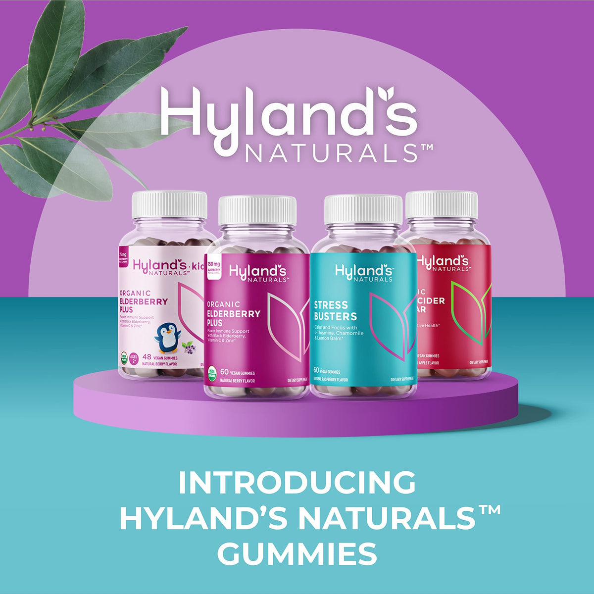 Hyland’s Organic Elderberry Plus Gummies — with Zinc & Vitamin C, 60 Count