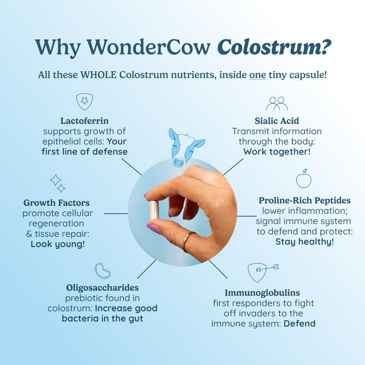 Cápsulas de calostro WONDERCOW — Salud intestinal e inmunidad (30 porciones)