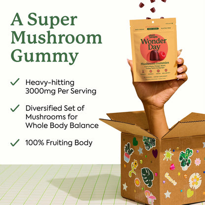 Plant People WonderDay Mushroom Gummies – Melena de león, Cordyceps y Chaga | Inmunidad, Energía y Ánimo | Vegano | 60 unidades