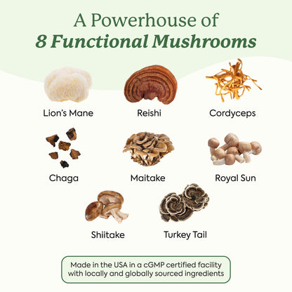 Plant People WonderDay Mushroom Gummies – Melena de león, Cordyceps y Chaga | Inmunidad, Energía y Ánimo | Vegano | 60 unidades