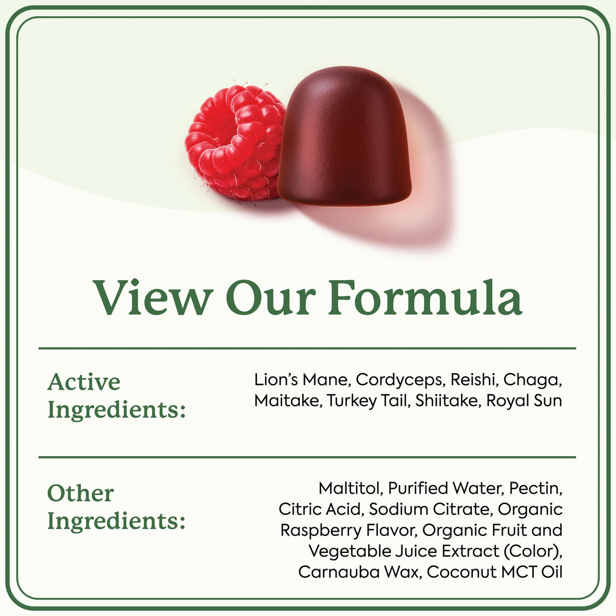 Plant People WonderDay Mushroom Gummies – Melena de león, Cordyceps y Chaga | Inmunidad, Energía y Ánimo | Vegano | 60 unidades
