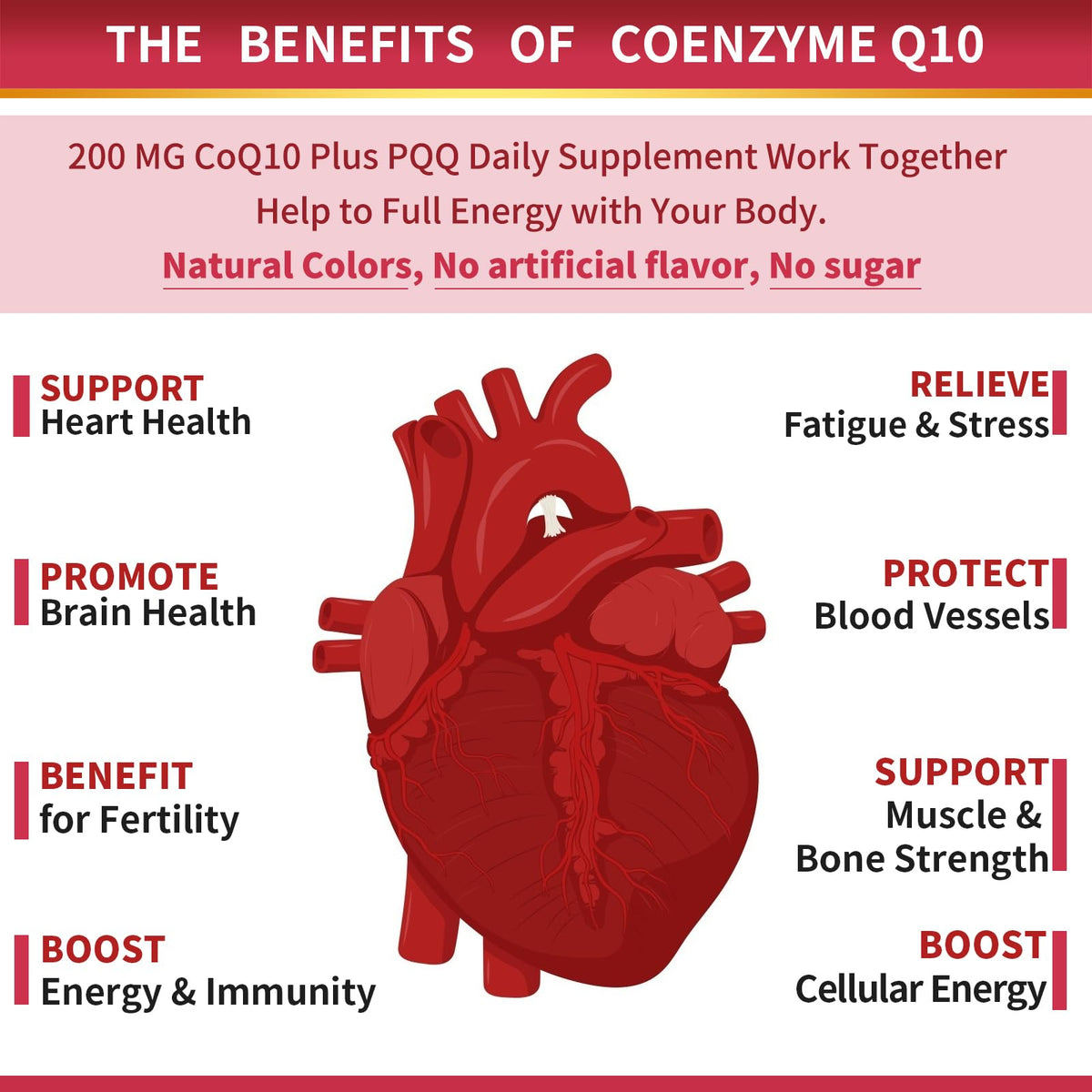 Zebora CoQ10 200mg with PQQ, BioPerine & Omega-3 – 2 Pack - Calm Era