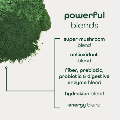 Zena Nutrition Organic Super Greens Powder – Energy & Hydration | 40 Packets - Calm Era