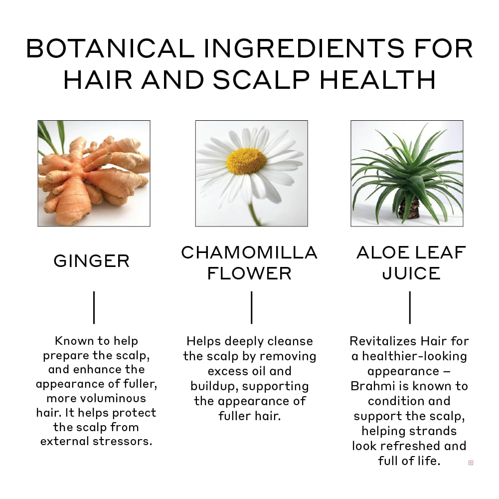 Acondicionador Zenagen Revolve – Hidratación ligera del cuero cabelludo para un cabello con más volumen